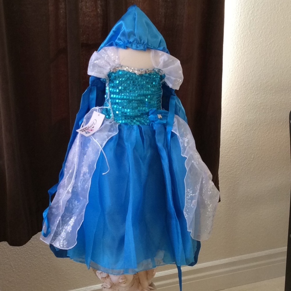 New With Tag Princess Anna Party Costume Set